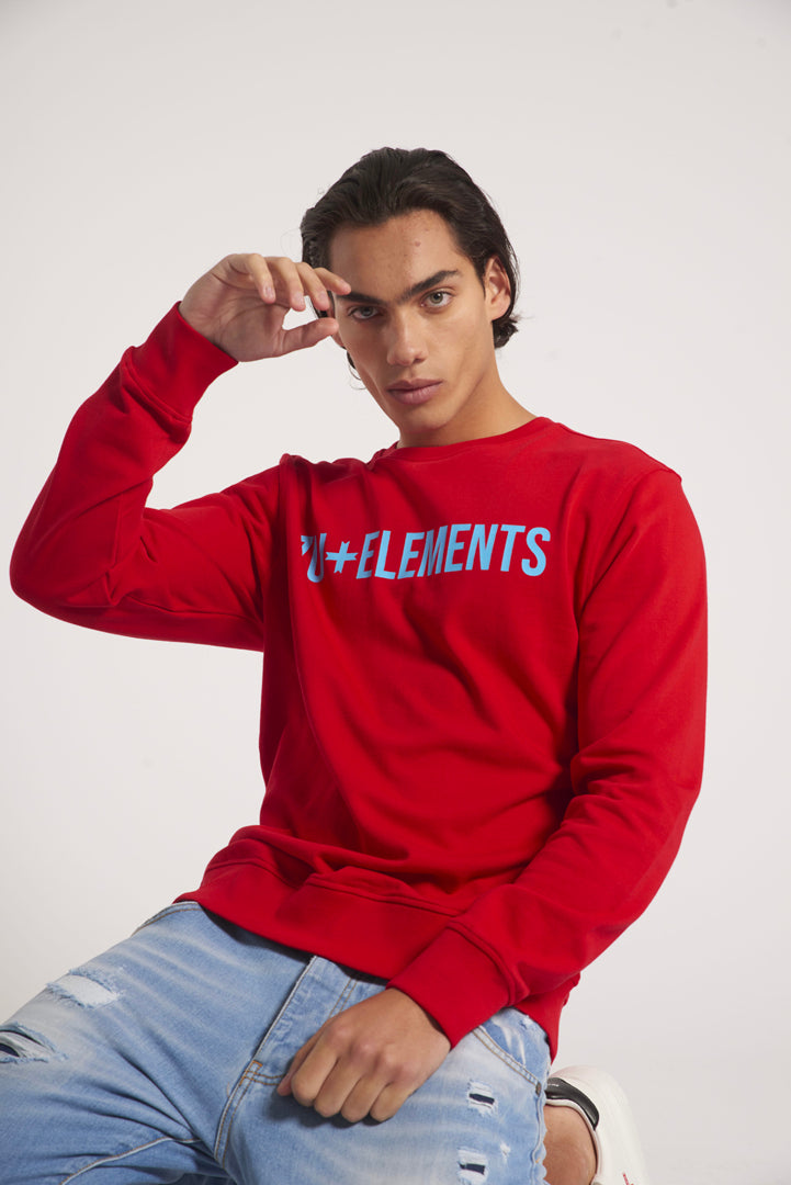 Crew-neck sweatshirt with print on the front